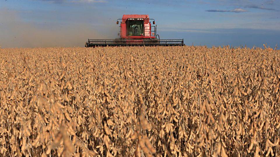 O crescimento do PIB Agronegócio favorece alta do PIB