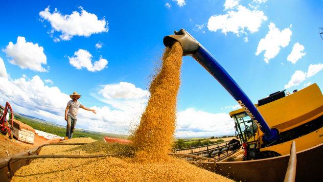 Colheita de soja em Itaberá (SP): segundo OMC, o Brasil é o maior exportador mundial da oleaginosa.