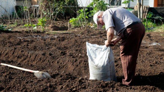 A horta funciona de maneira terapêutica para a comunidade do Boqueirão, em Curitiba.