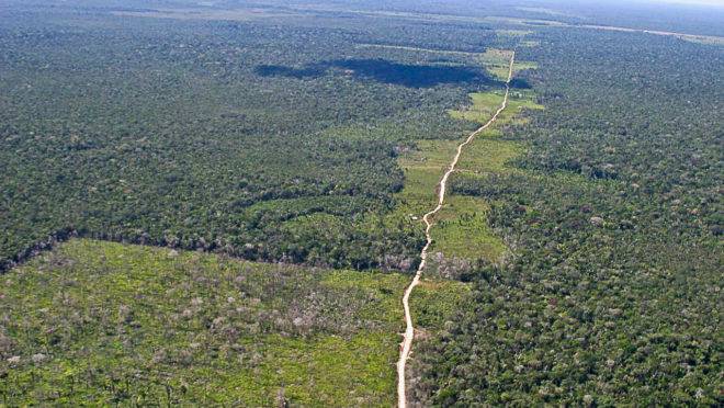 Área de floresta desmatada.