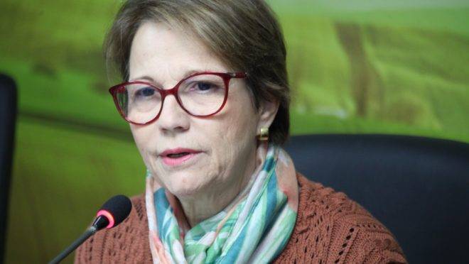 Segundo Tereza Cristina, o governo já está trabalhando para resolver a questão da fiscalização
