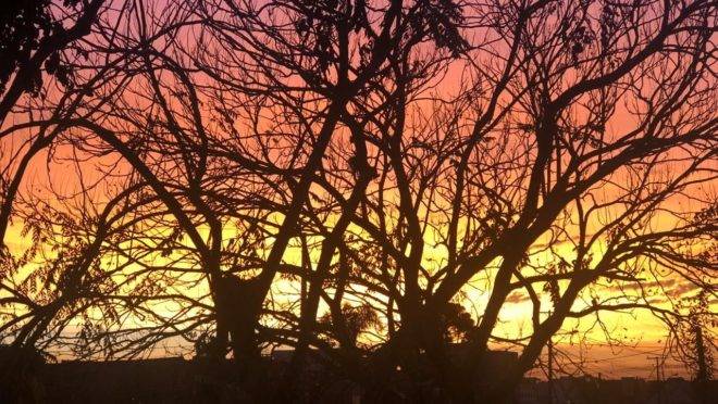 Sexta-feira amanheceu com cores vivas em Curitiba.