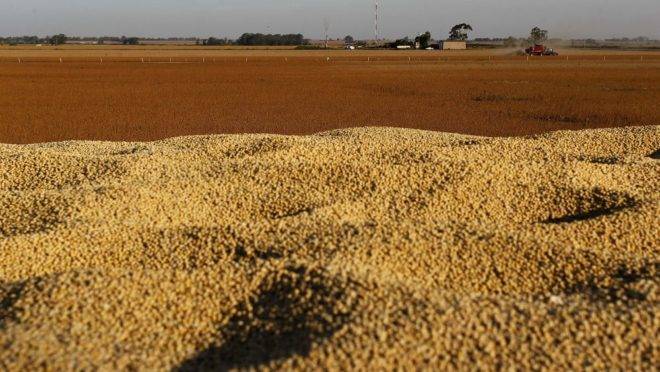 Colheita de soja na Argentina. País poderia ser uma alternativa ao Brasil, mas produtores estão preferindo estocar o grão.