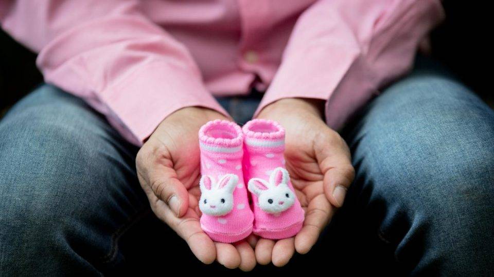 Deputados pró-vida e pró-família se organizam para garantir espaço à pauta de costumes no Congresso A prioridade da Frente Parlamentar em Defesa da Vida e da Família e apoiado pela bancada evangélica, é explicitar que o direito brasileiro protege o ser humano desde a concepção | Pixabay