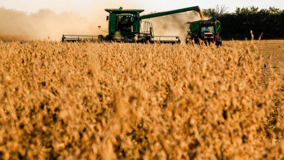 Paraná colhe melhor safra de soja da história; americanos também vão plantar mais Paraná colhe melhor safra de soja da história; americanos também vão plantar mais