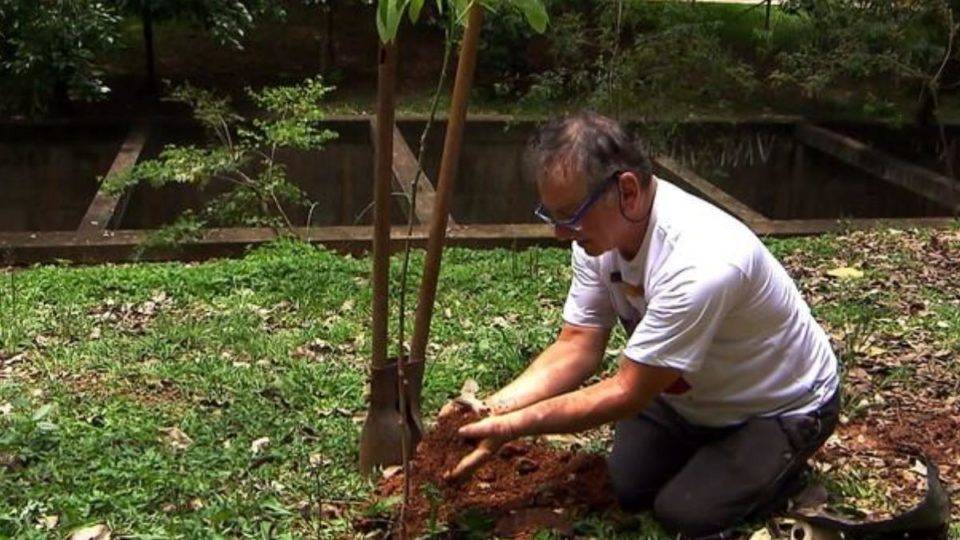 Sozinho, aposentado planta 25 mil árvores e recupera área degradada em São Paulo Hélio da Silva planta mais uma árvore: “Tenho três filhos, três netos e 25 mil filhos ecológicos” | Arquivo Pessoal