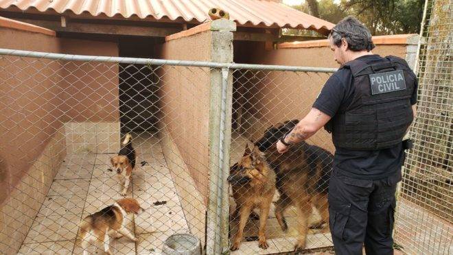 policia pet shop curitiba