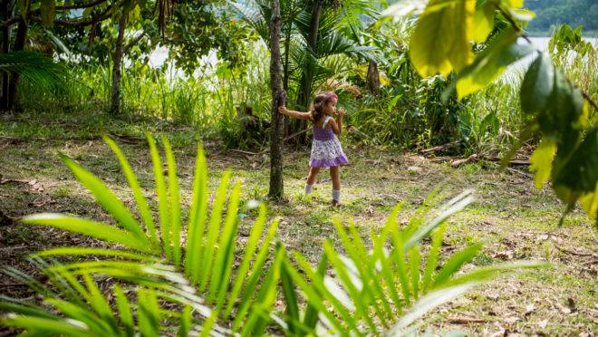 Amazônia Brasileira