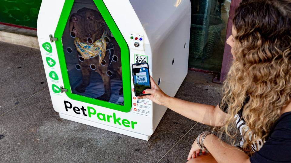 Leve seu pet para as compras: startup cria casinha inteligente Leve seu pet para as compras: startup cria casinha inteligente