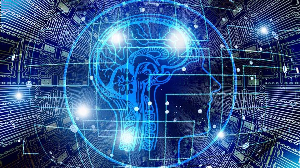 Direitos fundamentais para humanos digitais Direitos fundamentais para humanos digitais