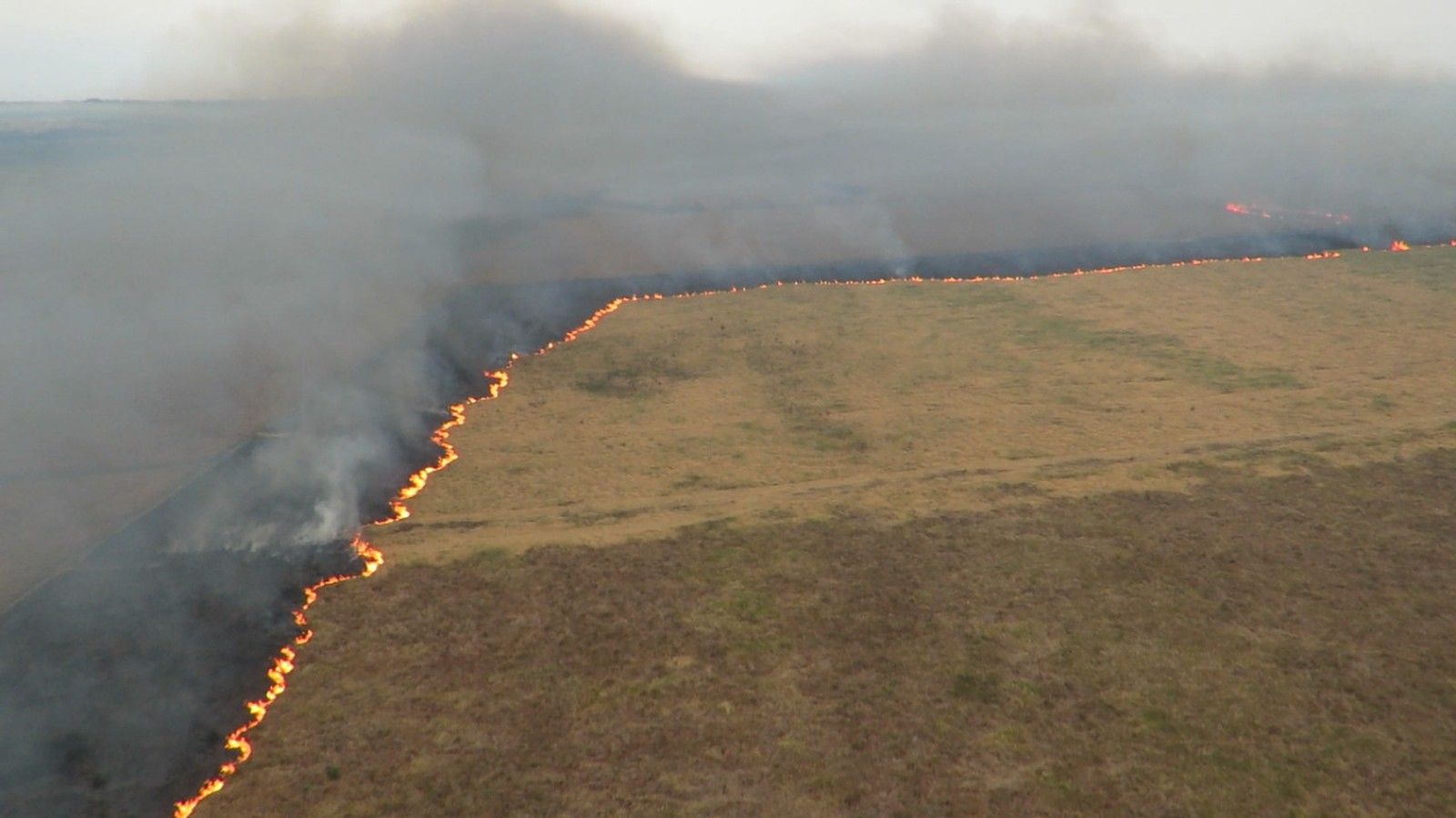 Fogo no Parque Nacional de Ilha Grande