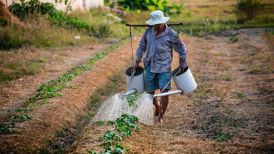 42% dos autônomos ganham menos de um salário mínimo por mês Nordeste e Norte são regiões com maior proporção de autônomos que ganham menos de 1 salário mínimo