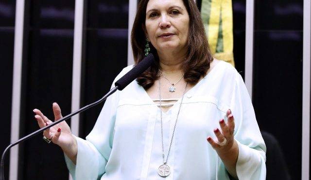 Deputada federal Bia Kicis (PSL-DF) está em seu primeiro mandato na Câmara
