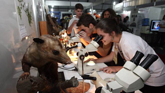 Estudantes na feira