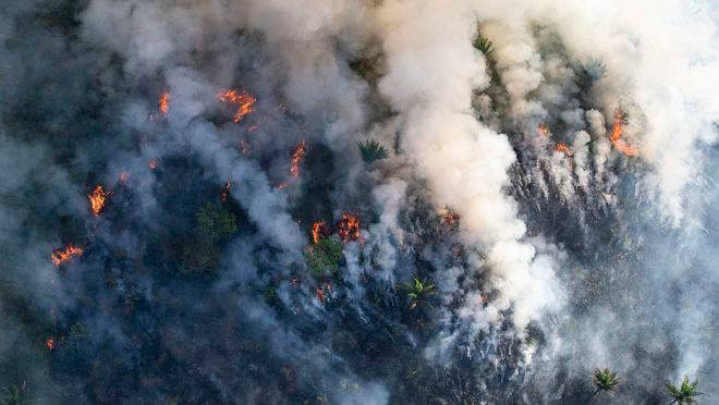Fogo consome árvores na Amazônia em registro fotográfico do Greenpeace: Brasil virou alvo de críticas do mundo todo.