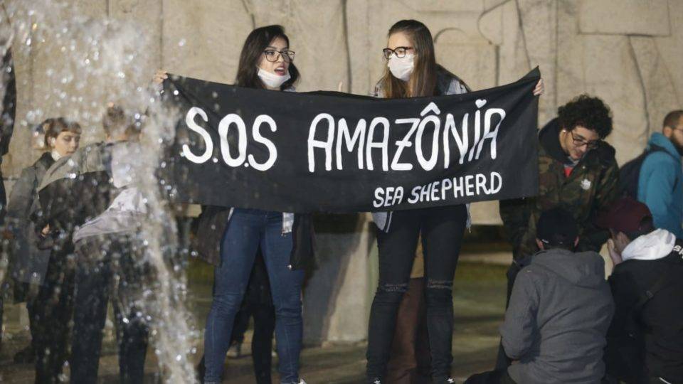 protestos em defesa da amazonia em curitiba