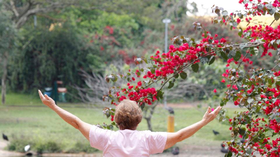 Farra das filhas solteiras custa R$ 4 bi por ano: tem até irmã e neta de 87 anos na “festa” pensão a filhas, netas e até irmãs "solteiras