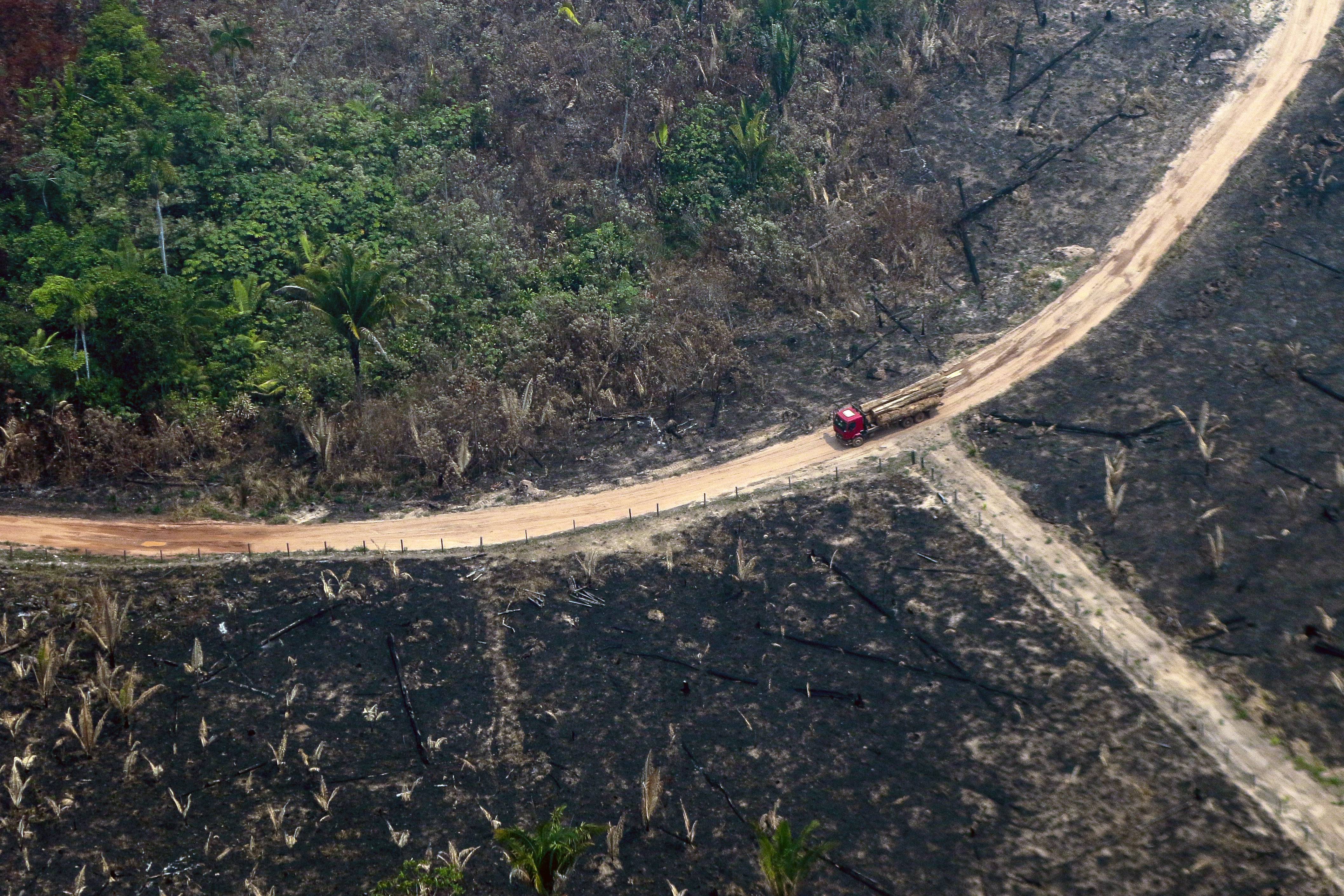 incêndio na amazônia
