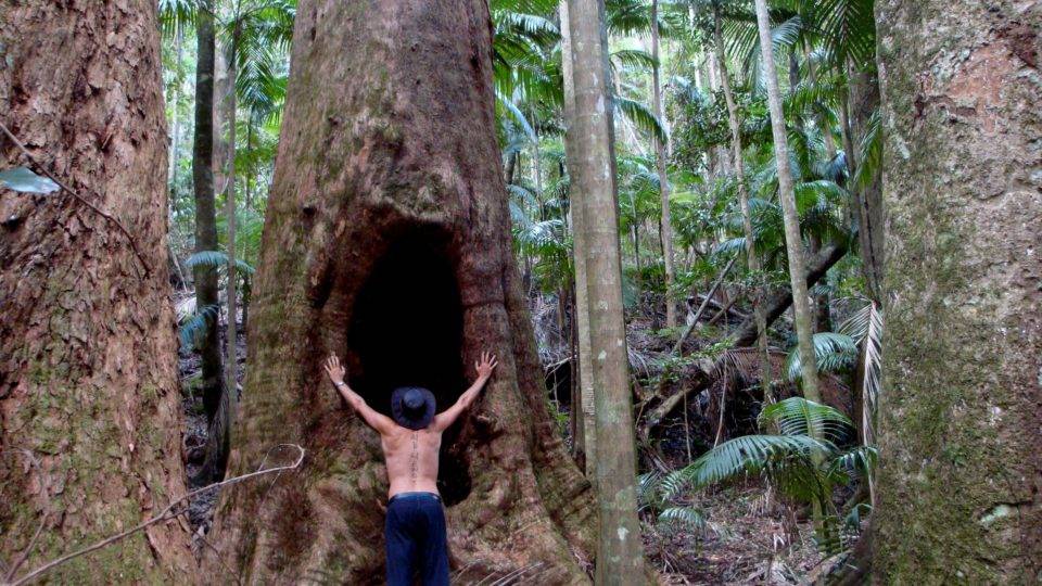15.900 ONGs atuam na Amazônia. Maior parte delas, dedicada à religião Criticadas por Lula e Bolsonaro e alvos até de CPI, ONGs que atuam na Amazônia são as maiores responsáveis pela imagem que o mundo faz da floresta.