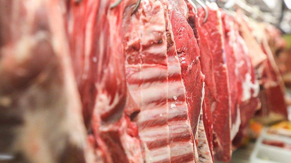 Carne bovina