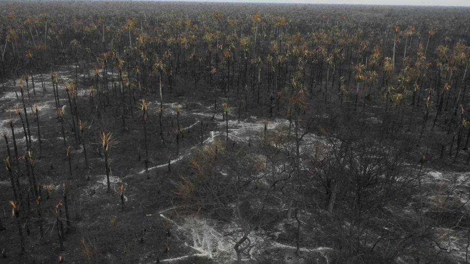 Vista aérea dos danos causados por incêndios no Parque Nacional Otuquis, na ecorregião do Pantanal, no sudeste da Bolívia, em 26 de agosto de 2019