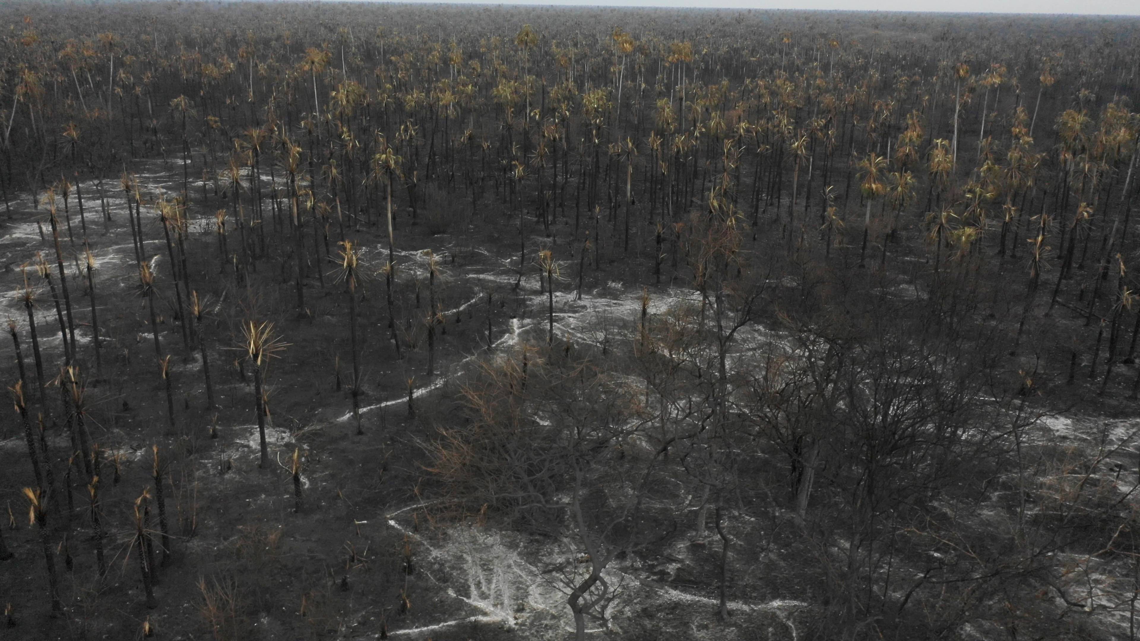 Vista aérea dos danos causados por incêndios no Parque Nacional Otuquis, na ecorregião do Pantanal, no sudeste da Bolívia, em 26 de agosto de 2019