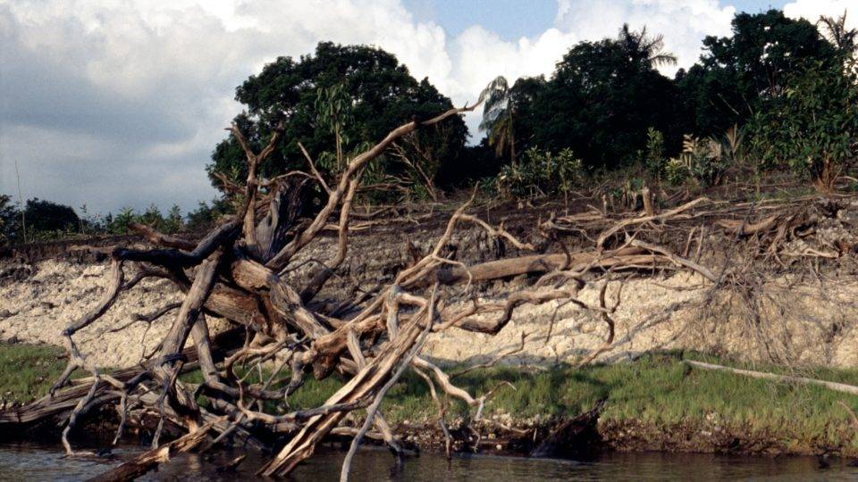 Sem esforço ou dinheiro: Amazônia recupera 58% das áreas degradadas sozinha Em 10 anos, floresta recuperou naturalmente 58% de sua área desmatada ou queimada. Medição pretende solucionar deficiência de mapeamento do INPE.