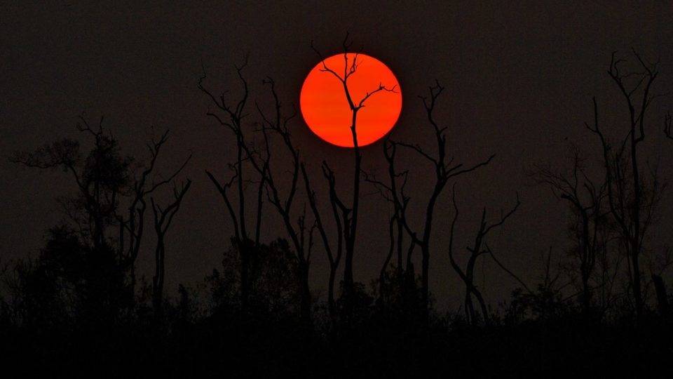 queimadas-amazonia