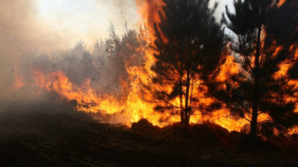 Em oito meses, Paraná registra quase tantos incêndios ambientais quanto em 2018 inteiro Em oito meses, Paraná registra quase tantos incêndios ambientais quanto em 2018 inteiro