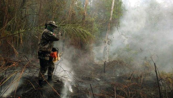 Fundo da Petrobras vai destinar R$ 1 bilhão para combate às queimadas na Amazônia