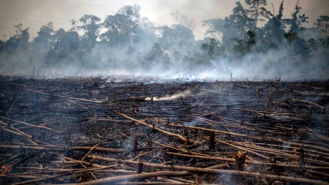 américa latina discute amazônia