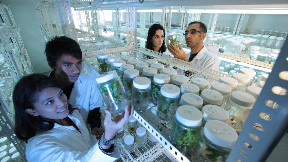 Educação, pesquisa e desenvolvimento: andando na contramão Educação, pesquisa e desenvolvimento: andando na contramão