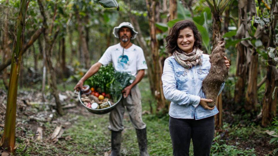 Iniciativas transformam cultura e economia em aliados na luta pró-Mata Atlântica Agrofloresta