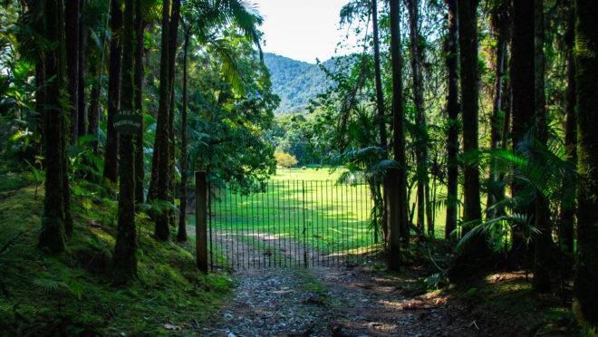 Reserva ecológica na Serra do Mar recebe o Libélula Festival na virada do ano.