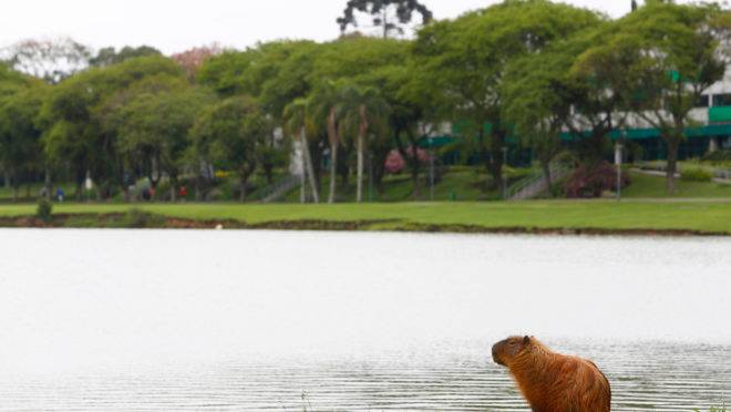 Depois de recorde de calor, Curitiba terá tempo nublado nesta quarta.
