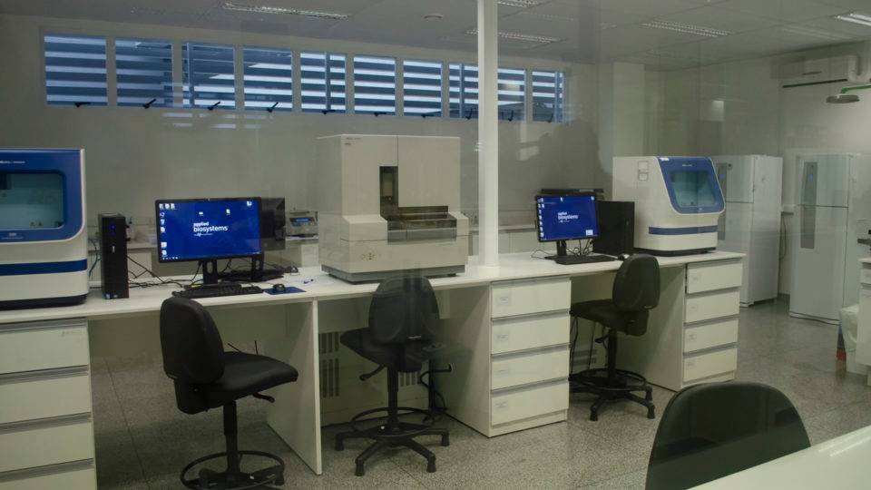 https www gazetadopovo com br parana caso rachel genofre banco de dna parana como funciona