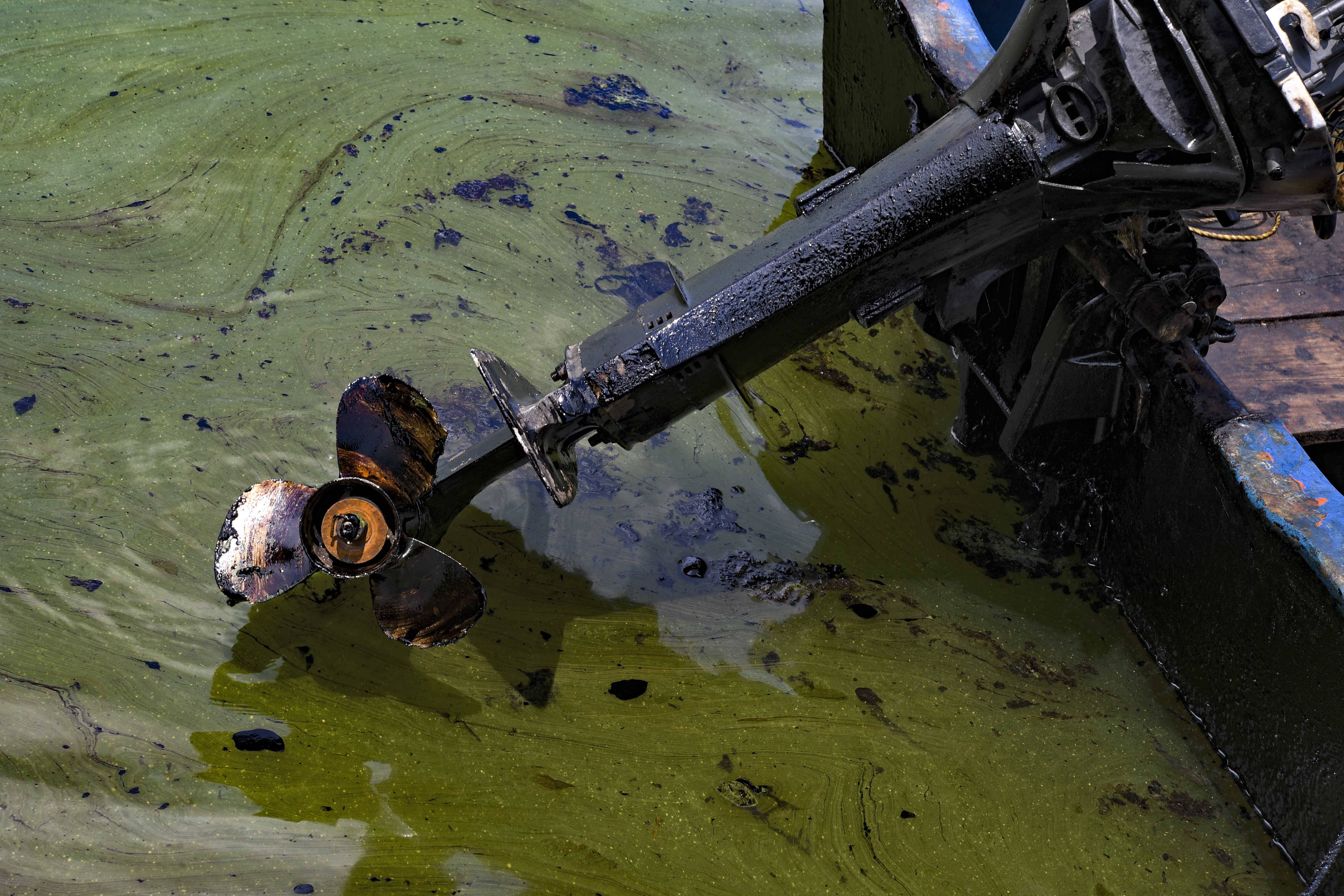 Derramamento de petróleo na margem do lago Maracaibo em Cabimas, perto de Maracaibo, estado de Zulia, Venezuela | FOTO: YURI CORTEZ/AFP Derramamento de petróleo na margem do lago Maracaibo em Cabimas, perto de Maracaibo, estado de Zulia, Venezuela | FOTO: YURI CORTEZ/AFP