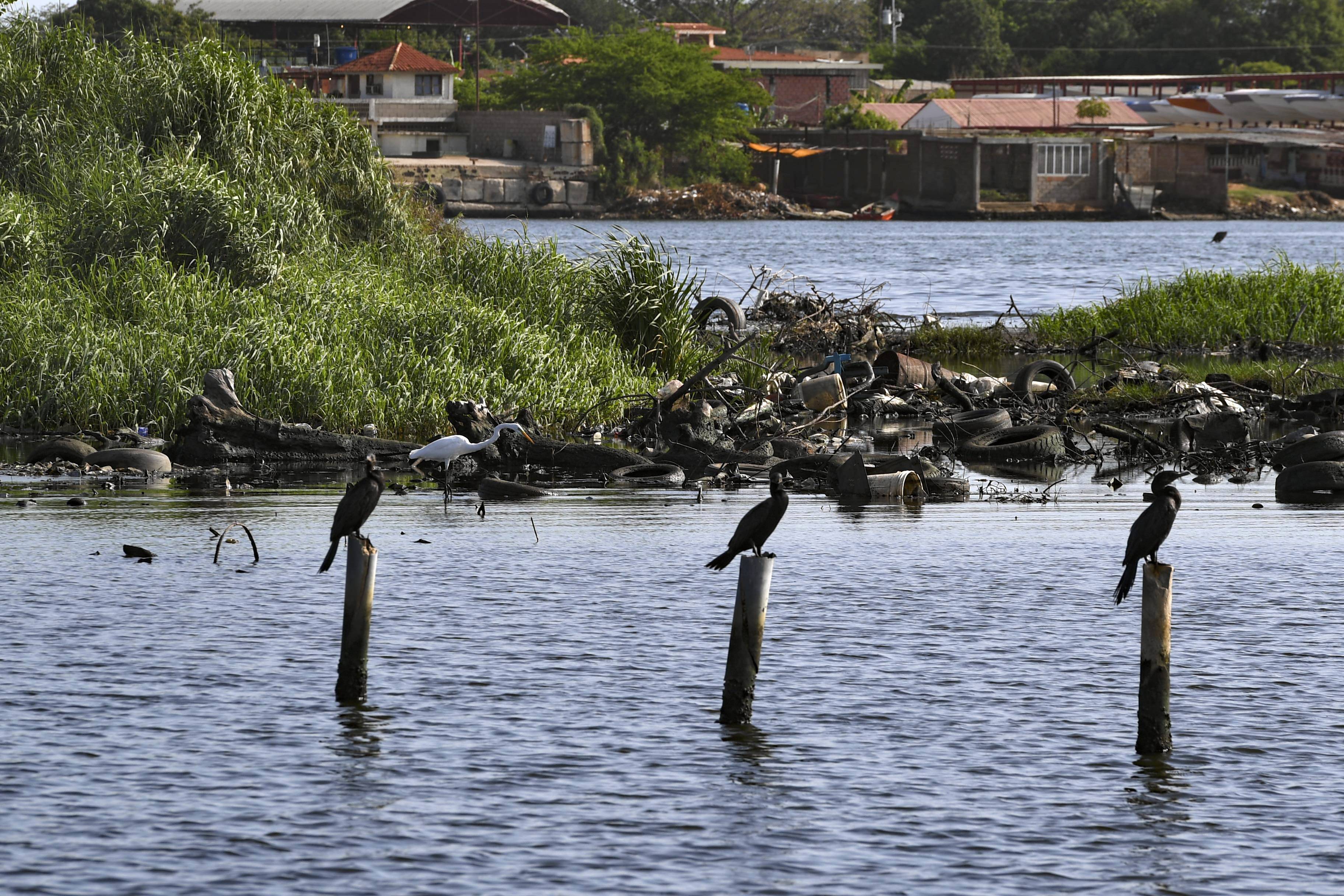 Vista do poluído lago Maracaibo | Foto: YURI CORTEZ / AFP Vista do poluído lago Maracaibo | Foto: YURI CORTEZ / AFP