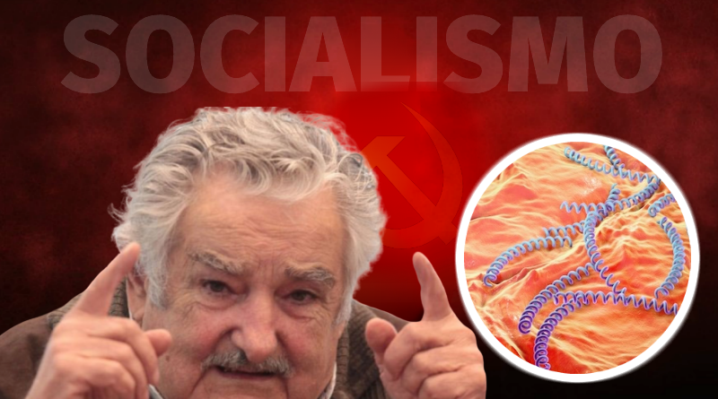 Por que os socialistas agem como bactérias parasitárias? Por que os socialistas agem como bactérias parasitárias?