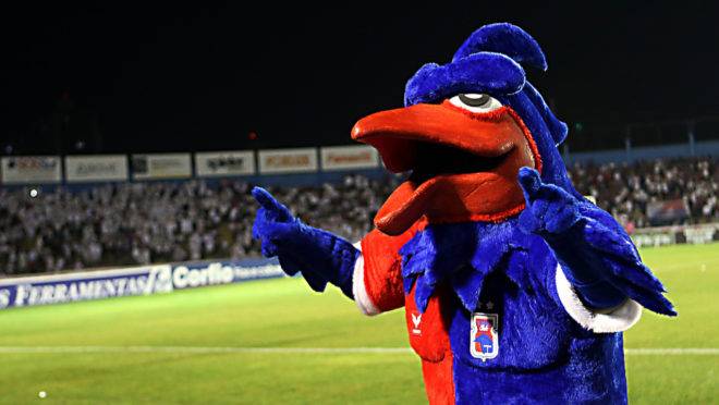 Torcida do Paraná espera voltar a festejar uma vitória na Vila Capanema.