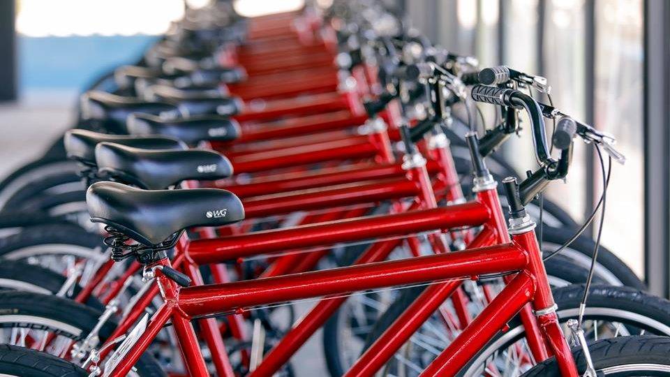 Parque da região metropolitana tem empréstimo gratuito de bicicletas O bicicletário funciona aos sábados e domingos das 15h às 18h.