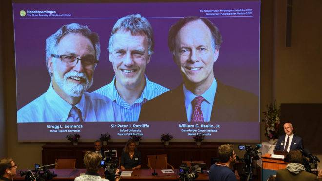 Vencedores do Nobel de Medicina 2019