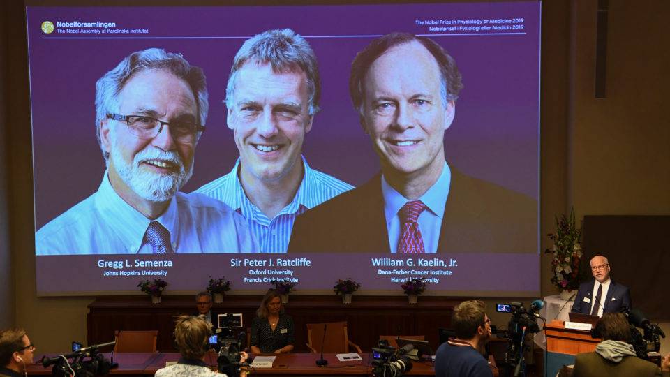 Vencedores do Nobel de Medicina 2019