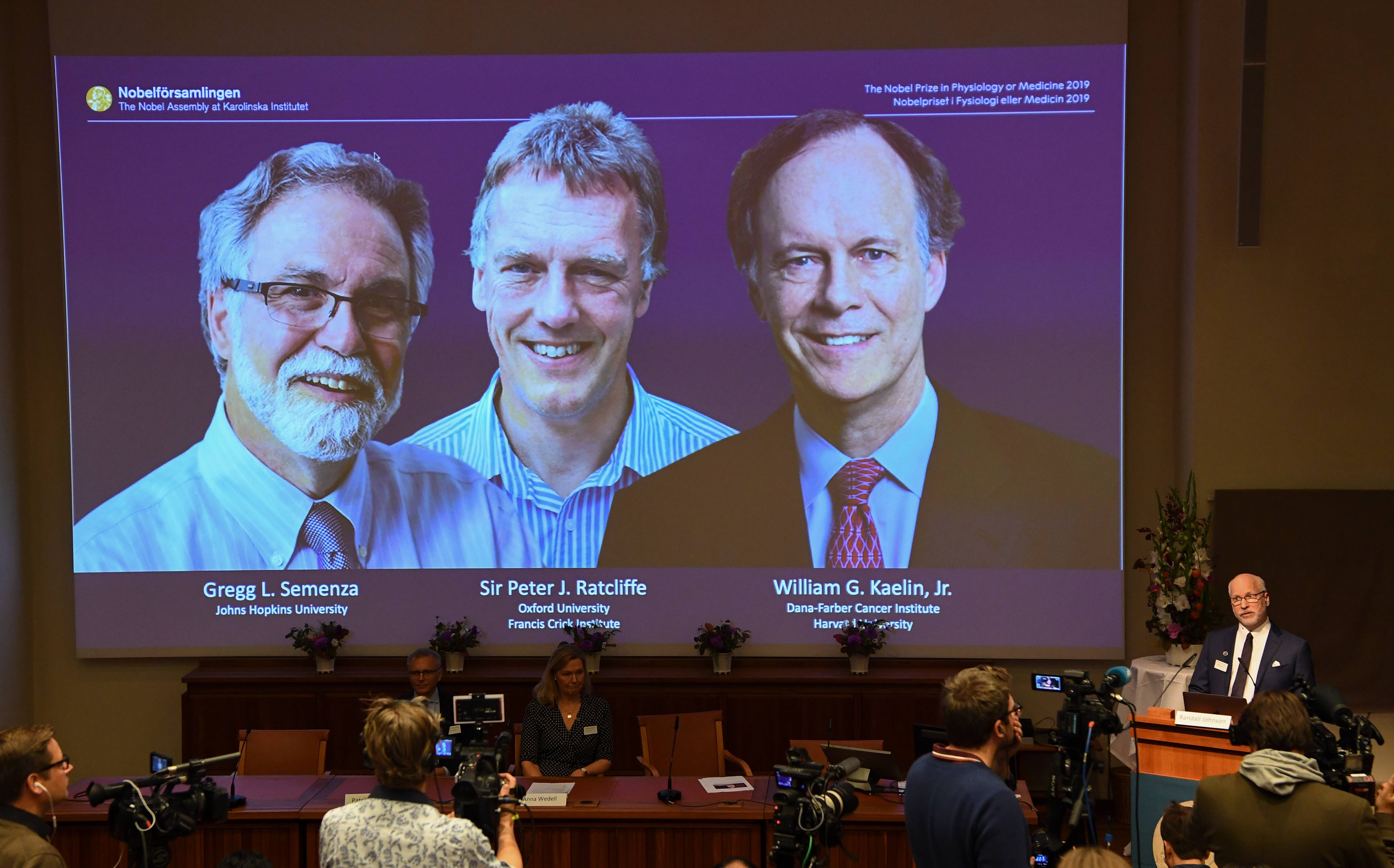 Vencedores do Nobel de Medicina 2019