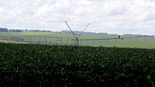 Plantação de soja.