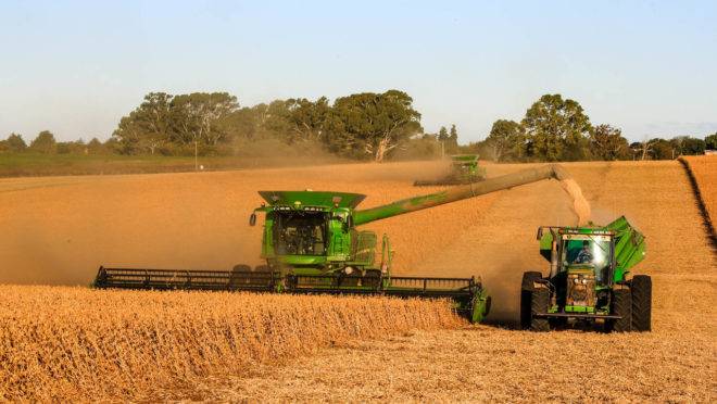 Mato Grosso, Paraná e Rio Grande do Sul devem liderar produção de soja