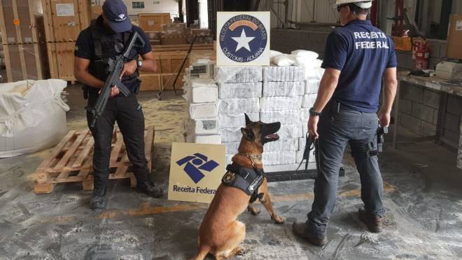 Cão farejador detectou a carga de 1,3 tonelada de cocaína que embarcaria para a Bélgica.