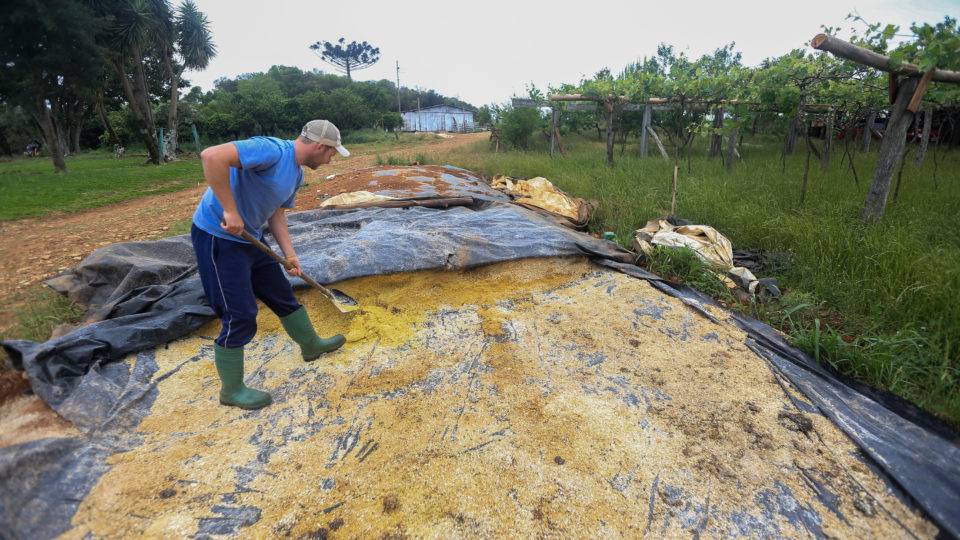 No RS, agricultores familiares crescem com cultivo da soja O produtor rural João Augusto Fioreze: soja e derivados mantêm agricultura familiar em Soledade (RS)