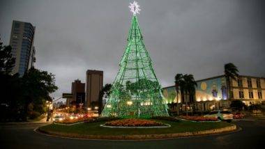 Árvore de Natal decora rotatória em frente à prefeitura de Curitiba