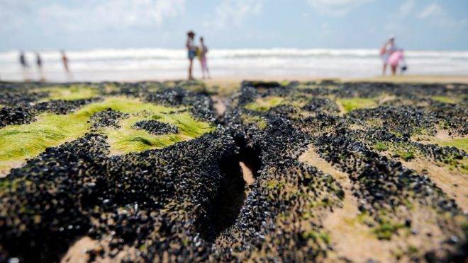 Poluente se espalha pelo litoral nordestino desde o início de setembro e já atinge 187 pontos